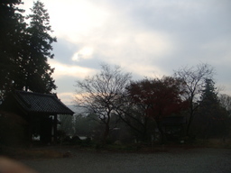 �{���Č����L