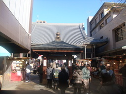 �{���Č����L