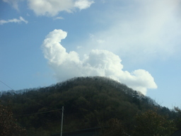 �{���Č����L