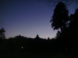 �{���Č����L