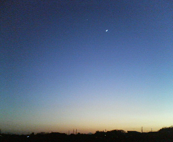 �{���Č����L