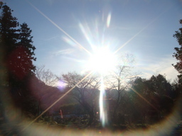 �{���Č����L