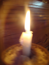 �{���Č����L