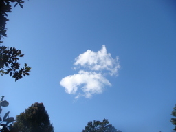 �{���Č����L