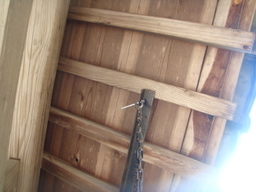 �{���Č����L