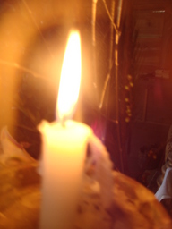 �{���Č����L