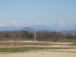 �{���Č����L