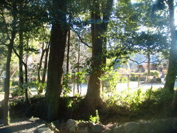 �{���Č����L