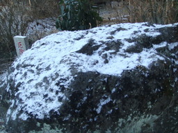 �{���Č����L