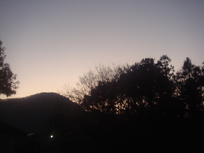 �{���Č����L