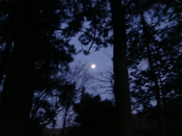 �{���Č����L