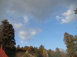 �{���Č����L