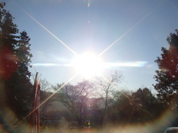 �{���Č����L