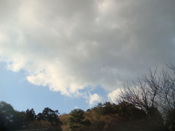 �{���Č����L