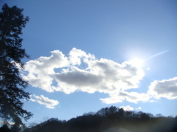 �{���Č����L