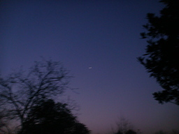 �{���Č����L