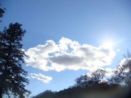 �{���Č����L