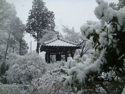 �{���Č����L