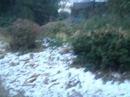 �{���Č����L