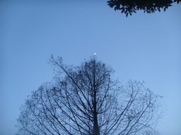 �{���Č����L