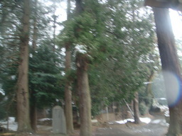 �{���Č����L