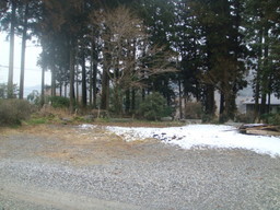 �{���Č����L