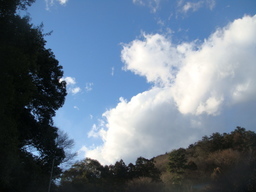 �{���Č����L