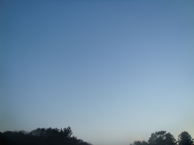 �{���Č����L