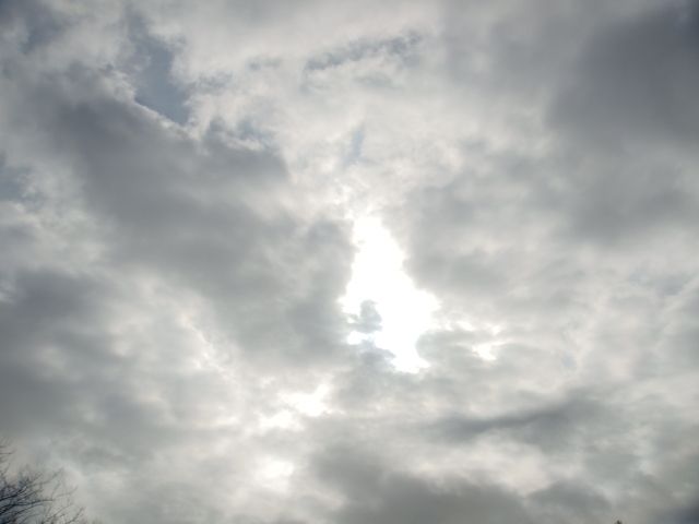 �{���Č����L