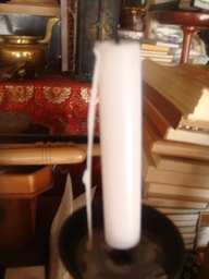 �{���Č����L