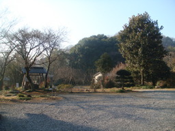 �{���Č����L