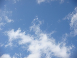 �{���Č����L