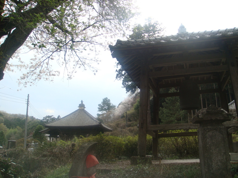 �{���Č����L