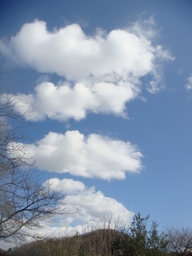 �{���Č����L