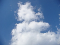 �{���Č����L