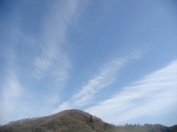 �{���Č����L