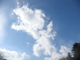 �{���Č����L