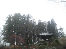 �{���Č����L