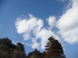 �{���Č����L