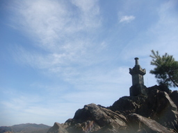 �{���Č����L