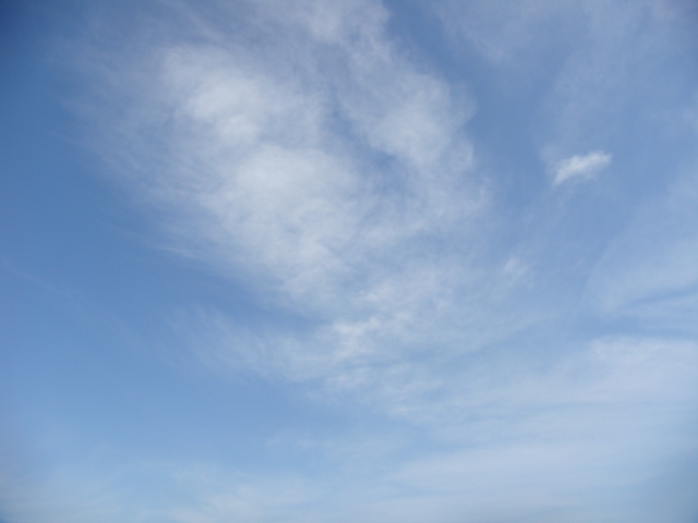 �{���Č����L