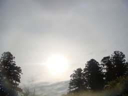 �{���Č����L