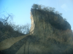 �{���Č����L