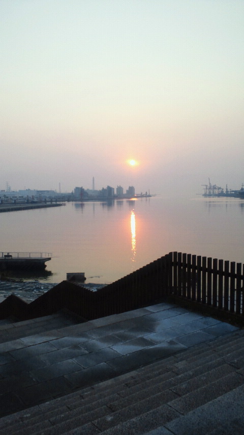 �{���Č����L