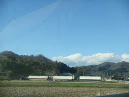 �{���Č����L