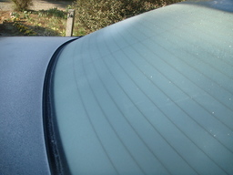 �{���Č����L