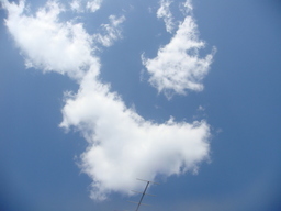 �{���Č����L