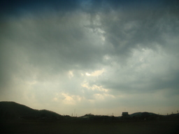 �{���Č����L