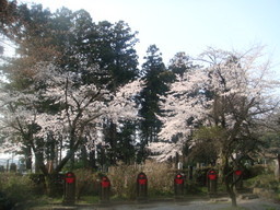 �{���Č����L