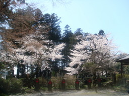 �{���Č����L